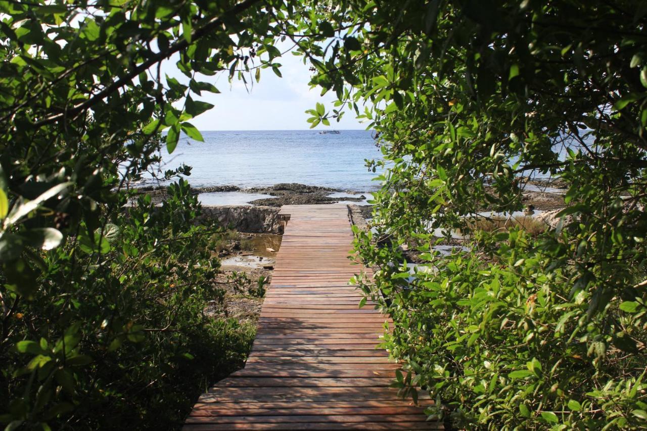 Estudio En Cozumel, Frente Al Mar A2 Apartment *