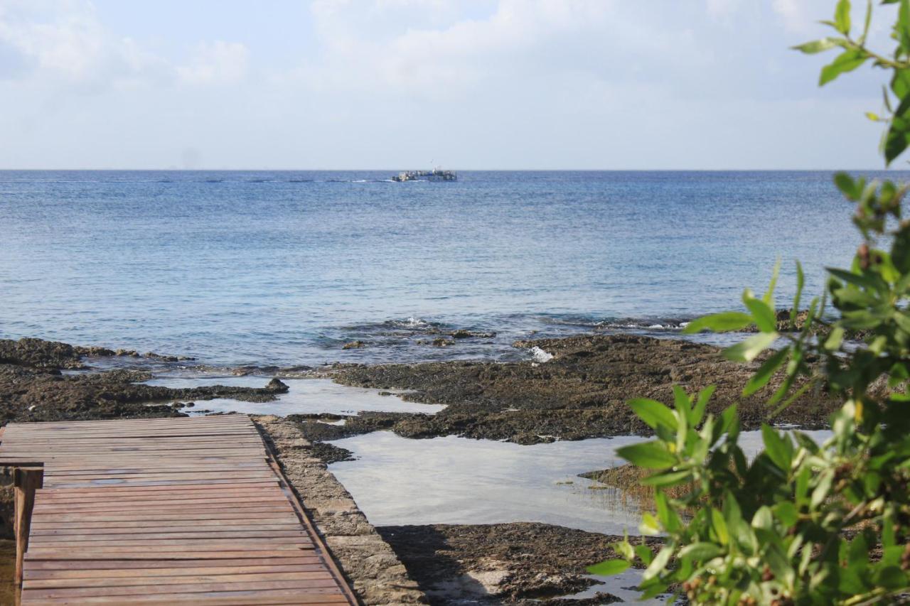 Estudio En Cozumel, Frente Al Mar A2 Apartment